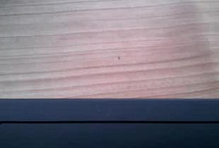 midlifemuscle17941 Cam