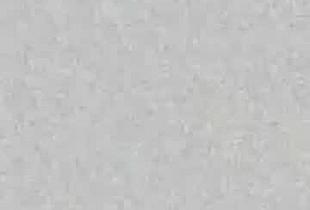 fineginger Cam