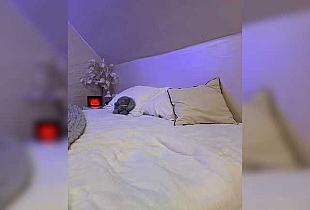HollyPolly111 Cam