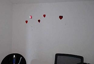 Maskedcouplex Cam