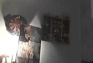 donosus Cam