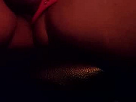 hoiiand48482 Cam