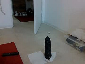 bareff Cam