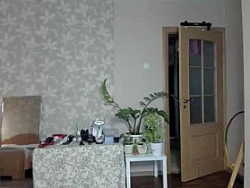 larisadevries Cam