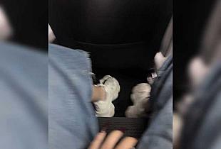 PamelaXXs Cam
