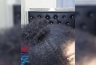 Kimlisa Cam