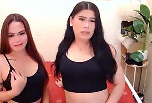 pussiekat18 Cam